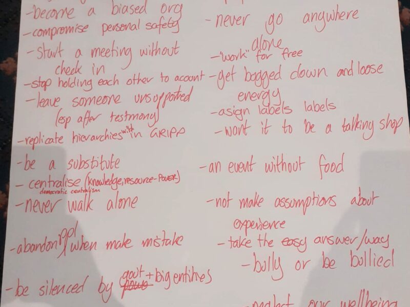 Picture of notes from a meeting starting with 'We Do Not' and then listing around 20 pledge items.